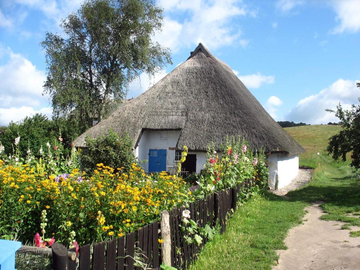 Ferienhaus Zum Boddenstrand Mit Ka Groß Zicker Εξωτερικό φωτογραφία
